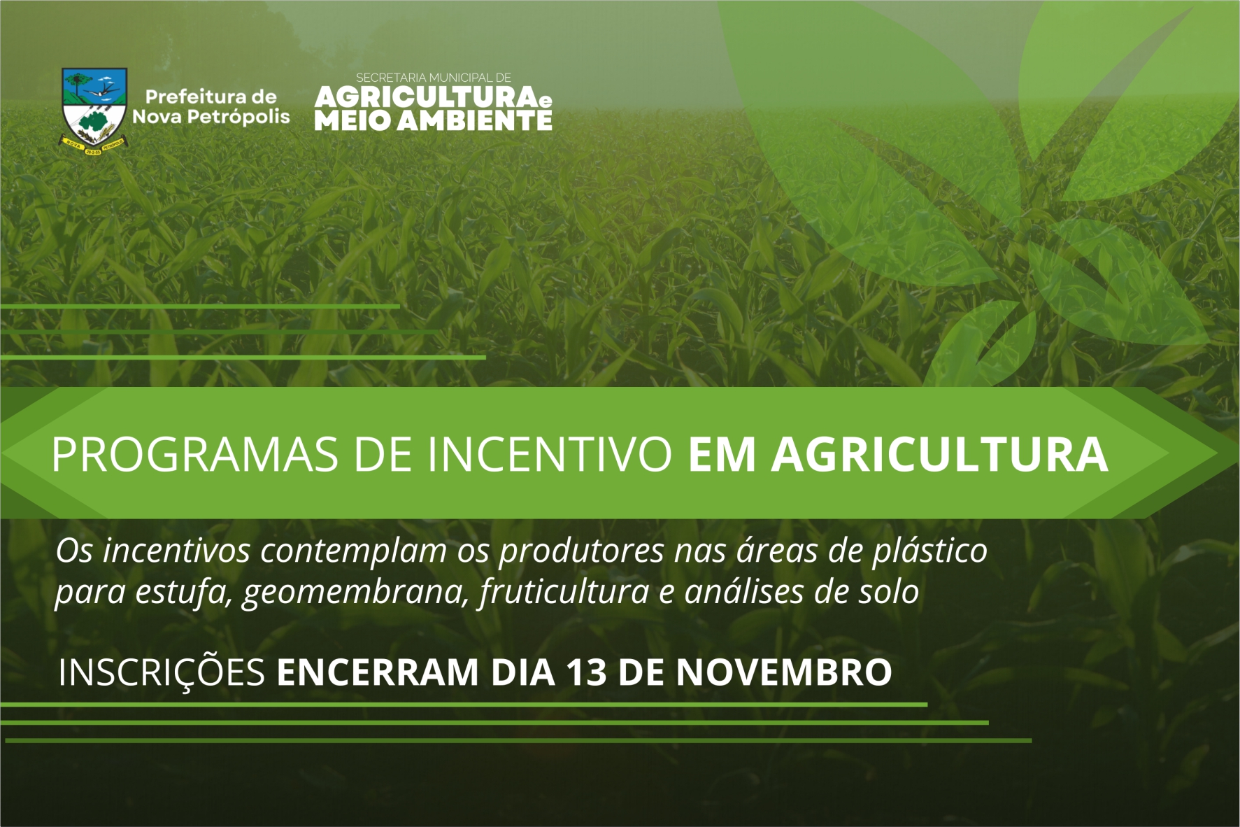 Imagem: Divulgação