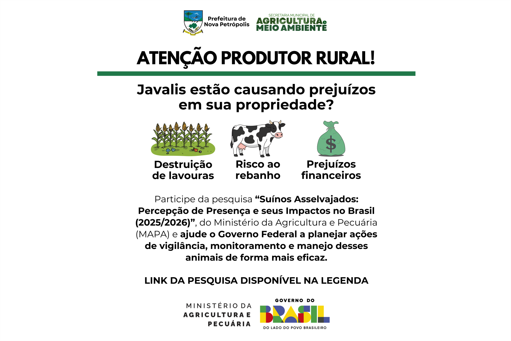 Imagem: Divulgação