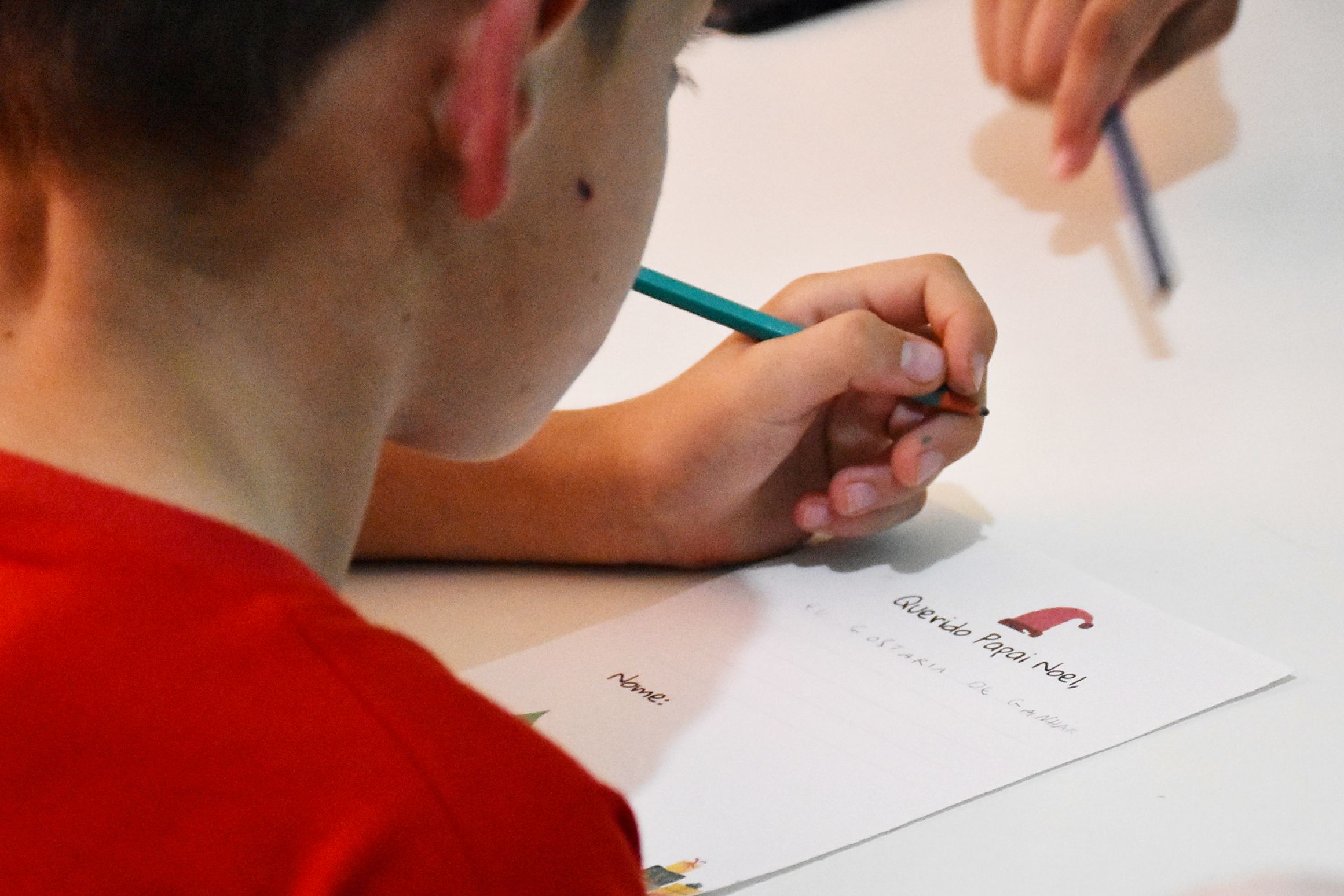 Foto: Adriana Rabassa | Acervo PMNP