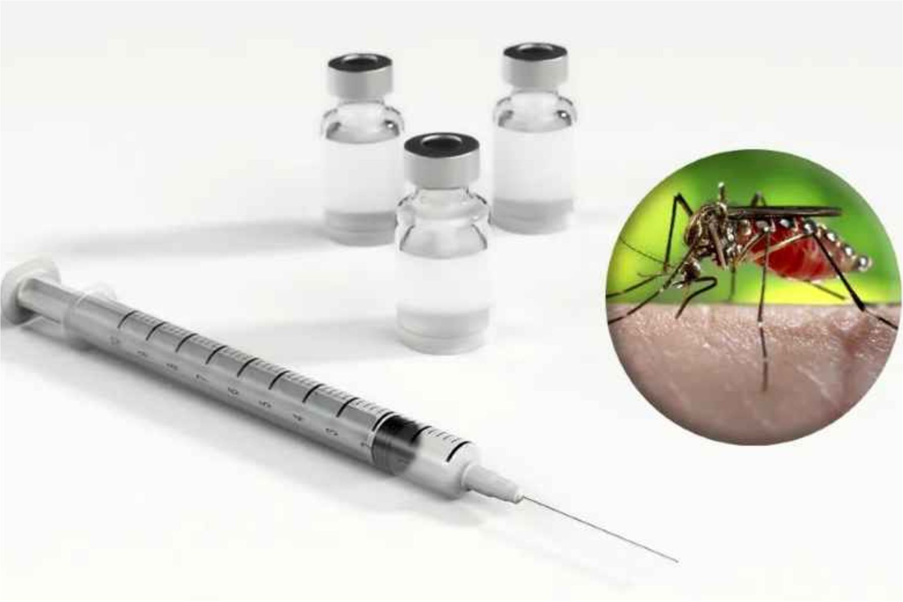 Imagem meramente ilustrativa